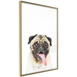 Arkiio Affisch Pug [Poster] 40x60 Poster